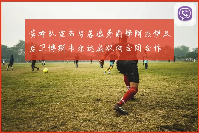 黄蜂队宣布与落选秀前锋阿杰伊及后卫博斯韦尔达成双向合同合作