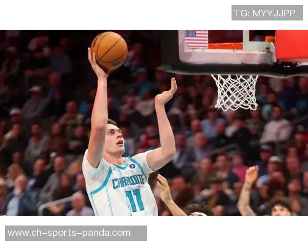 黄蜂新秀克尼佩尔表现抢眼三场场均15分三分命中率高达579