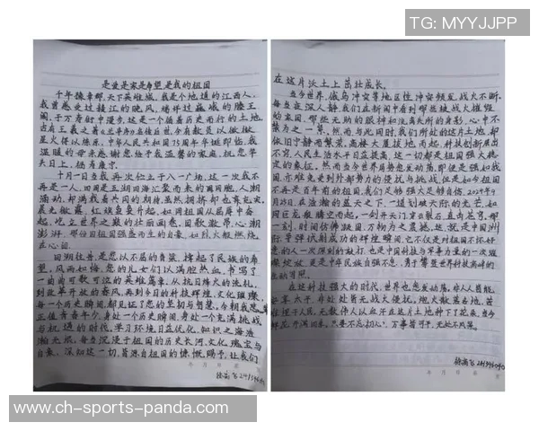 李镇全总结熊猫杯团结奋进的团队精神引领我们走向更辉煌的未来 李镇全总结熊猫杯团结奋进的团队精神引领我们走向更辉煌的未来